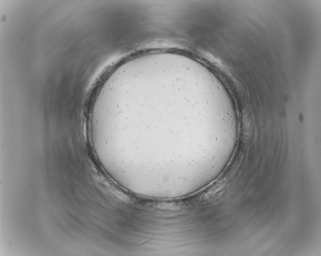 X0000070421408200607072323