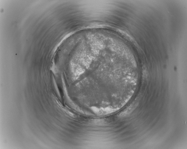 X0000070421409200607072323