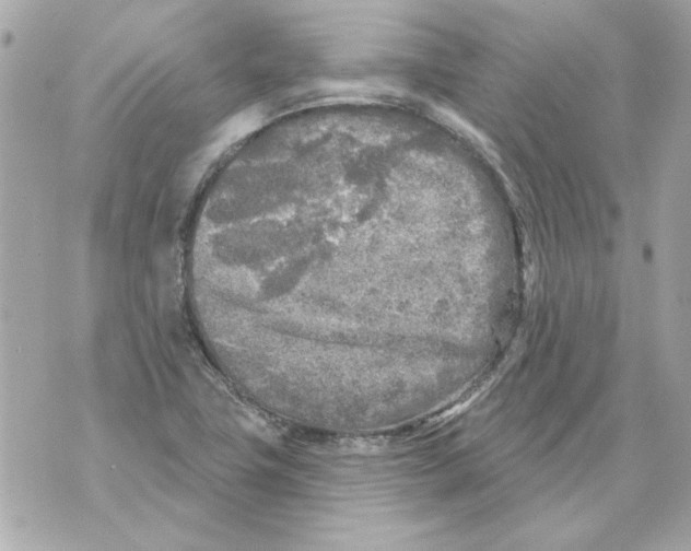 X0000070421411200607072323