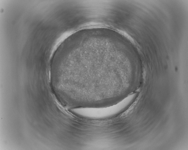 X0000070421413200607072323