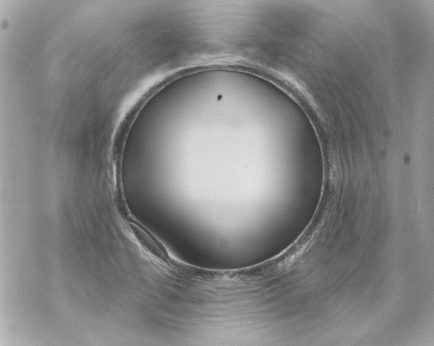 X0000070421414200607072323