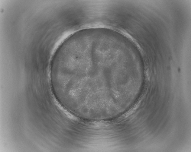 X0000070421416200607072323