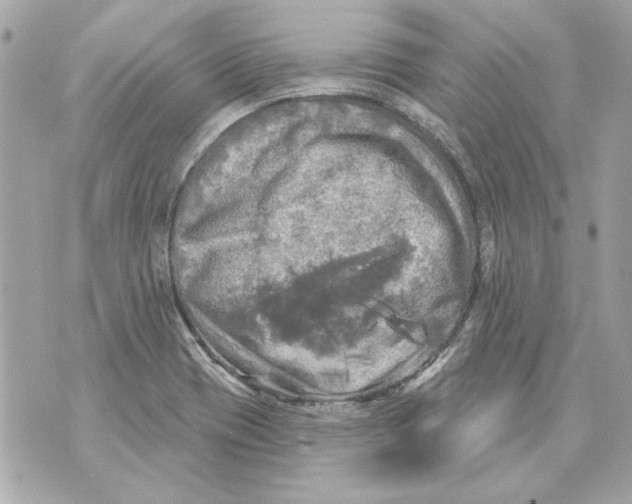 X0000070421417200607072323