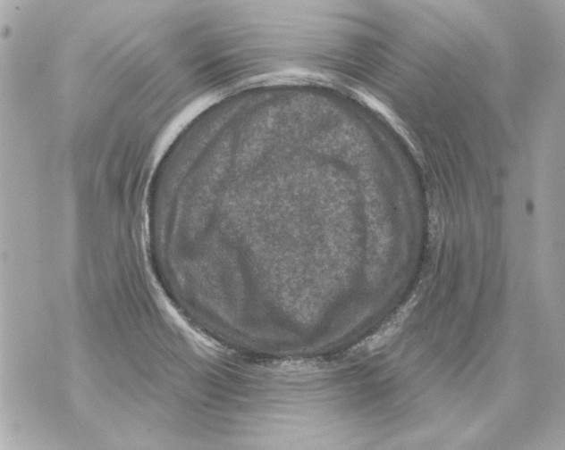 X0000070421418200607072323