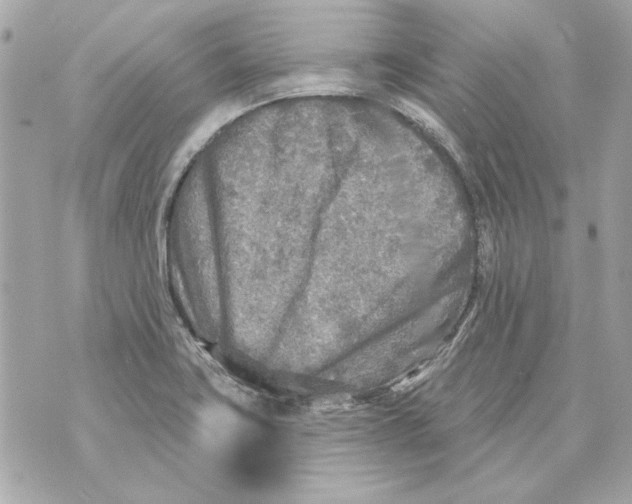 X0000070421419200607072323