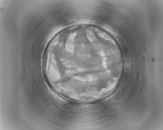 X0000070421423200607072323