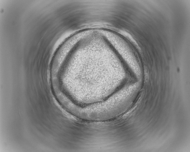 X0000070421424200607072323