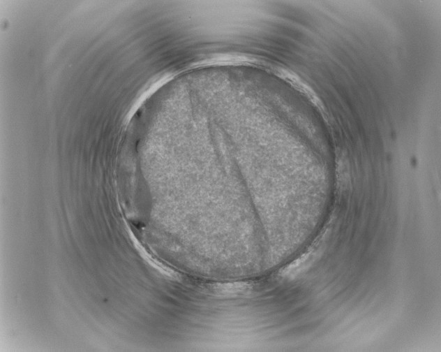 X0000070421425200607072323