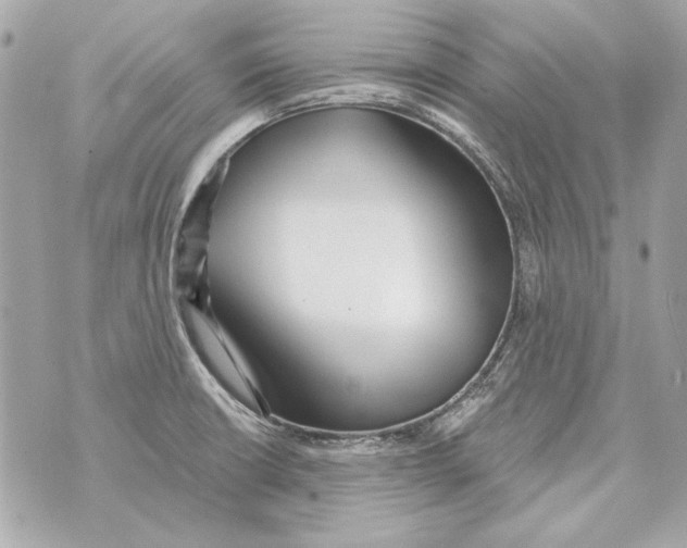 X0000070421426200607072323