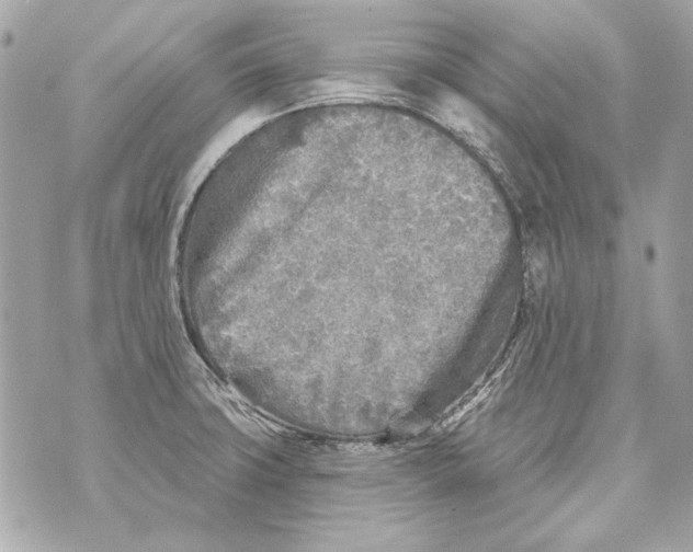 X0000070421427200607072323