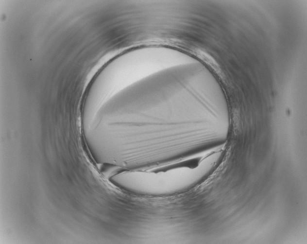 X0000070421428200607072323