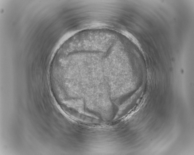 X0000070421429200607072323