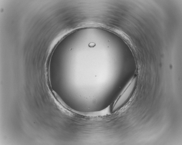 X0000070421430200607072323