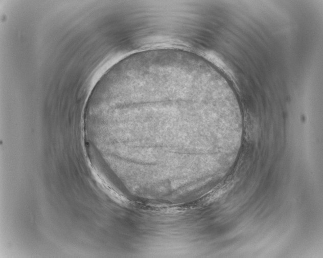 X0000070421431200607072323