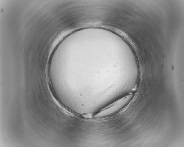 X0000070421432200607072323