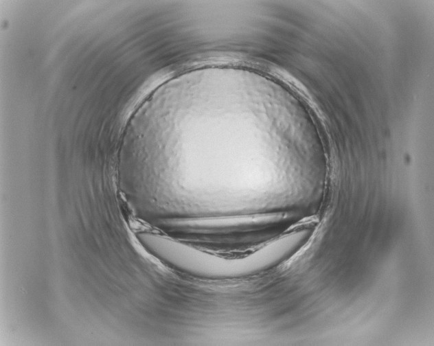 X0000070421433200607072323