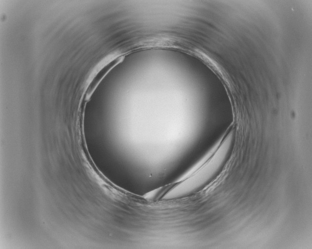 X0000070421434200607072323