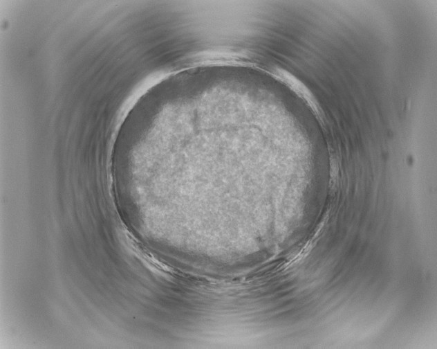 X0000070421435200607072323