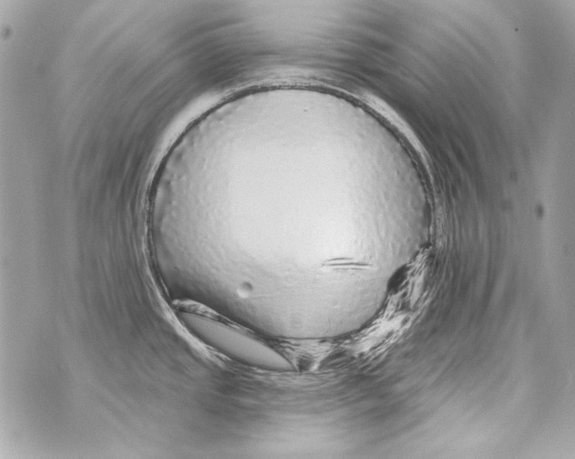 X0000070421437200607072323