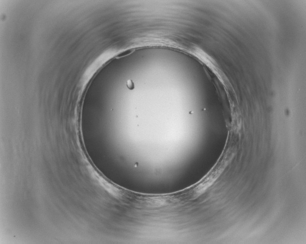 X0000070421438200607072323