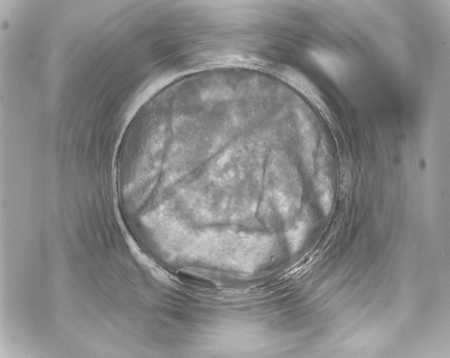 X0000070421439200607072323