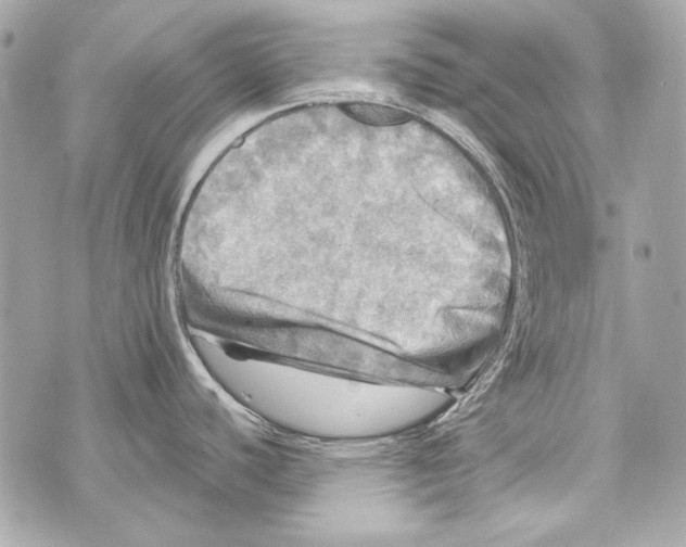 X0000070421440200607072323