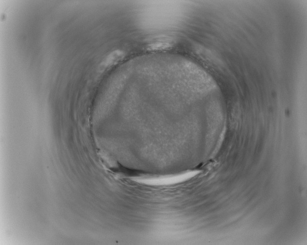 X0000070421441200607072322