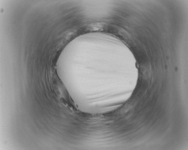 X0000070421442200607072322