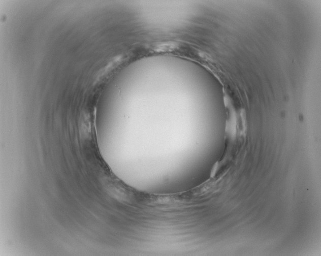 X0000070421443200607072322