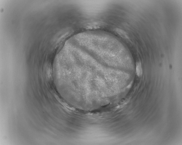 X0000070421444200607072322