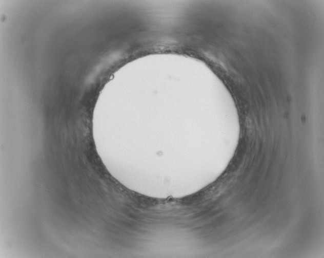 X0000070421447200607072322