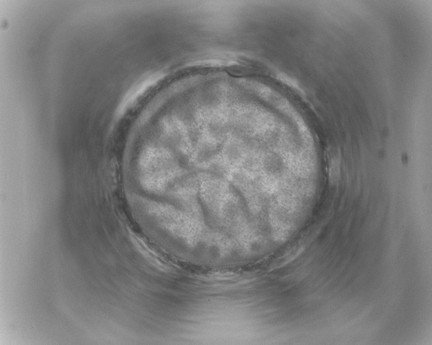 X0000070421448200607072322