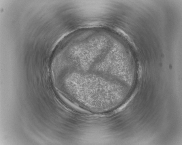 X0000070421449200607072322