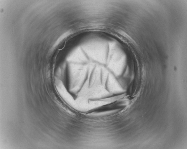 X0000070421450200607072322