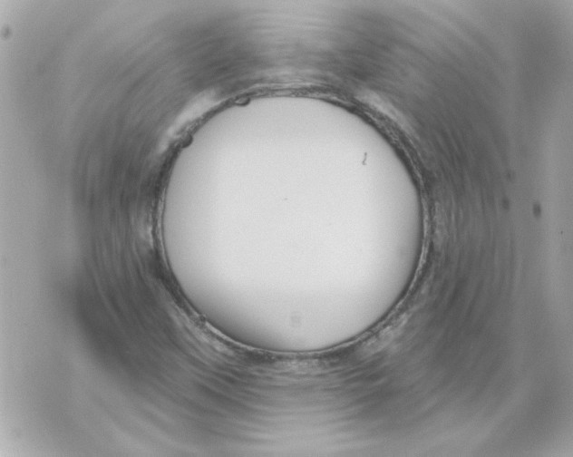 X0000070421451200607072322