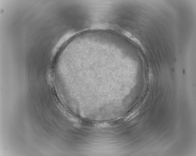 X0000070421454200607072322