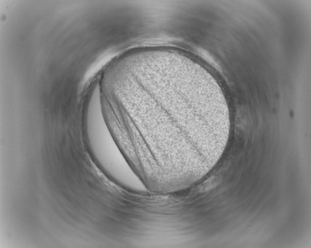 X0000070421456200607072322