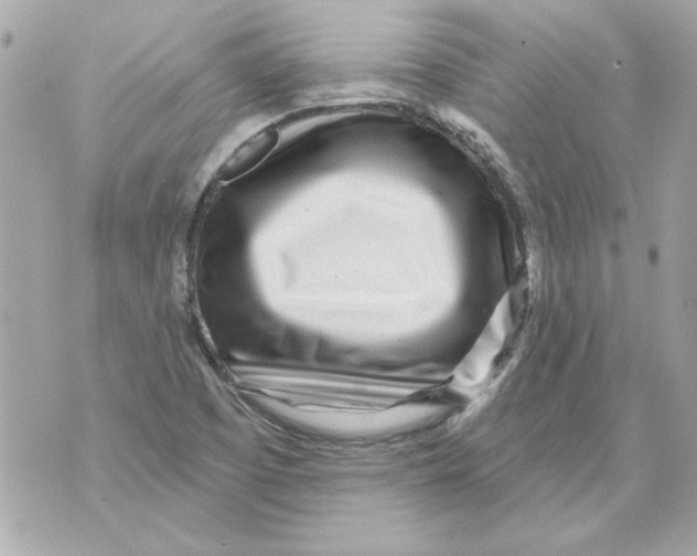 X0000070421457200607072322