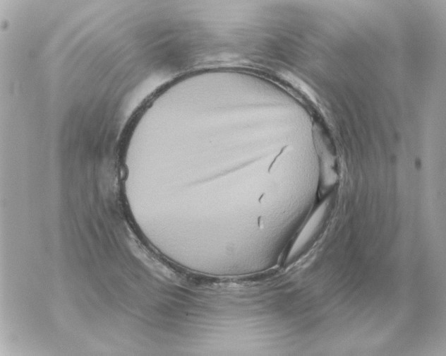 X0000070421458200607072322