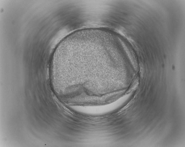 X0000070421459200607072322