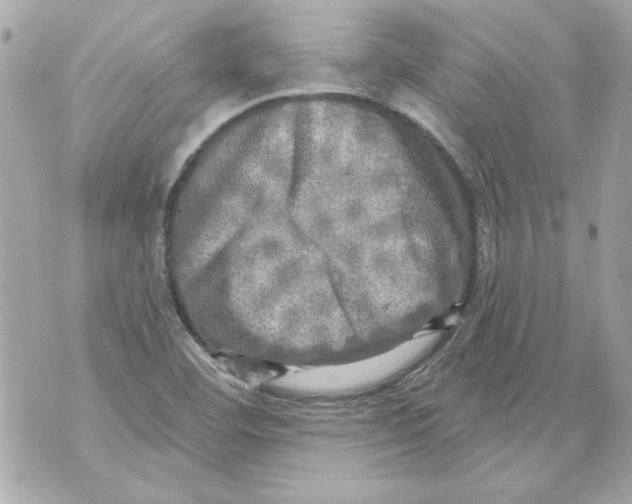 X0000070421460200607072322