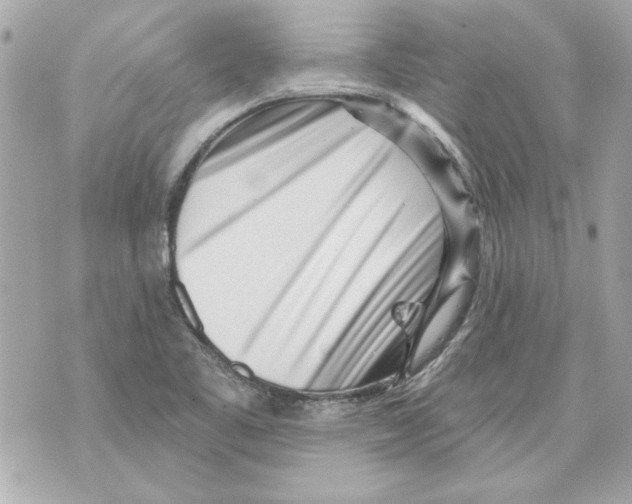 X0000070421461200607072322