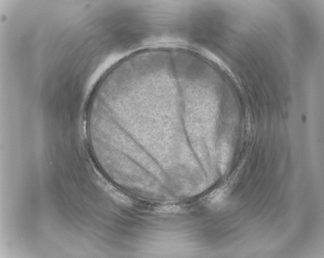 X0000070421462200607072322