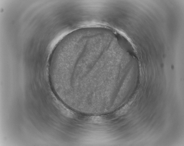 X0000070421463200607072322