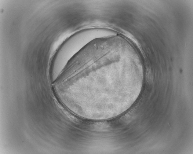 X0000070421464200607072322