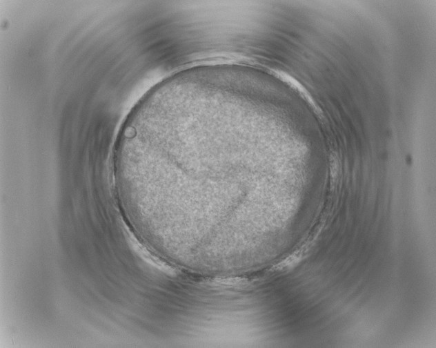 X0000070421466200607072322