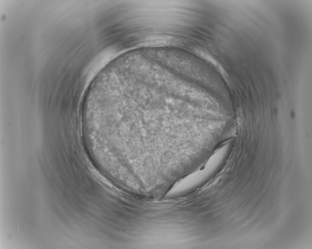 X0000070421467200607072322