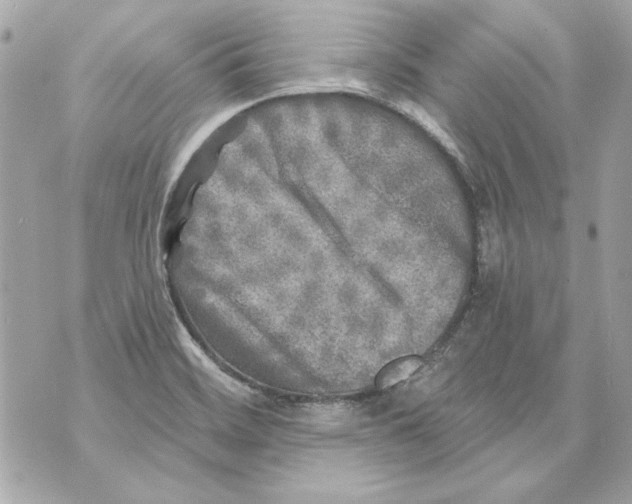 X0000070421468200607072322