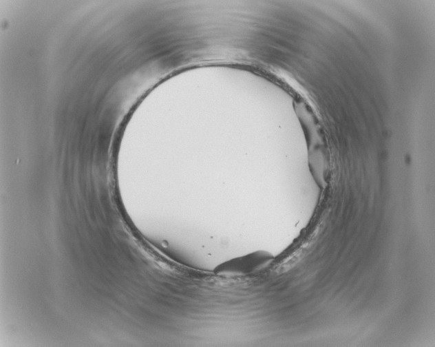 X0000070421469200607072322