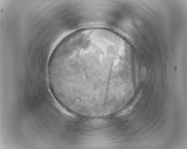 X0000070421470200607072322